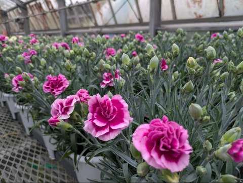 PXL_20260414_053153321_20260415130122