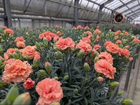 PXL_20260414_053206355_20260415130121