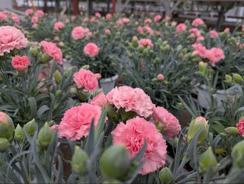 PXL_20260414_053244571_20260415130119