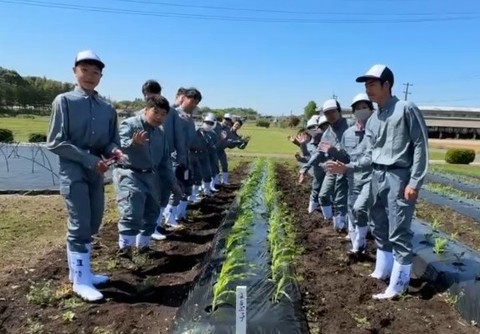 スイートコーン1